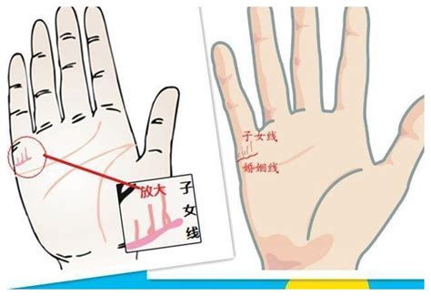 手相子女數目